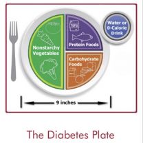 Diabetes Plate Magnet