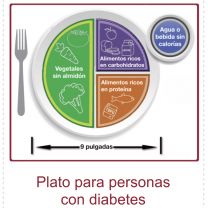 SPANISH Diabetes Plate Magnet